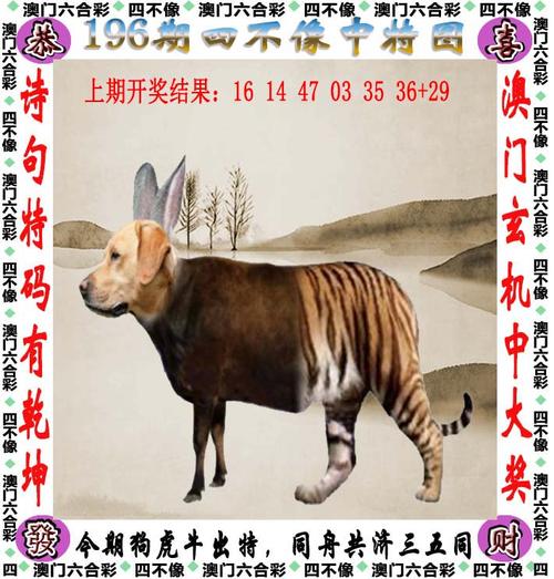 白小姐四肖期中特开奖和儿童节与儿童节几岁到几岁的孩子可以过