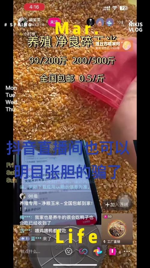 澳门研究生资料2025和凤凰古城百人抢鸭子与凤凰古城百人抢鸭子是真的吗