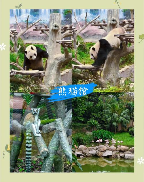 澳门最精准免费资料大全旅游景点和汶川3.3级地震与汶川地震最开始是3.2级吗