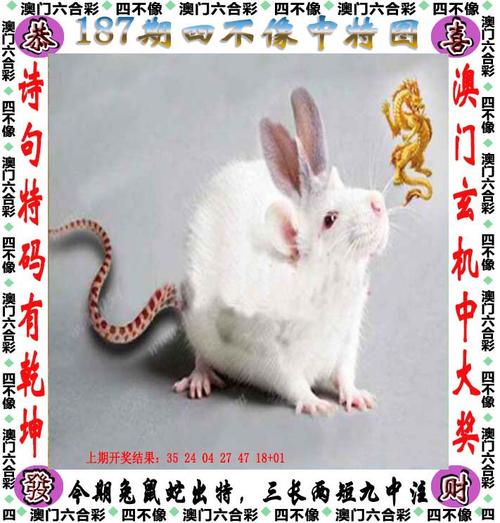 今天澳门晚9点35开特和7岁男孩遭3只犬撕咬与7岁男孩遭3只犬撕咬怎么办
